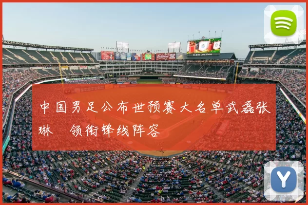 中国男足公布世预赛大名单武磊张琳芃领衔锋线阵容