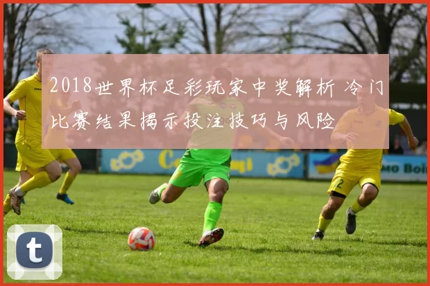 2018世界杯足彩玩家中奖解析 冷门比赛结果揭示投注技巧与风险